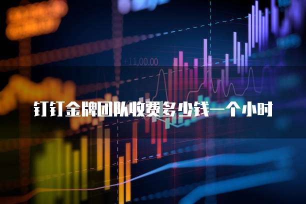 钉钉金牌团队收费多少钱一个小时