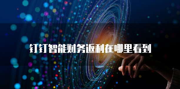 钉钉智能财务返利在哪里看到