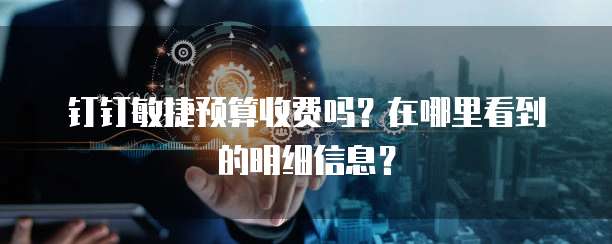 钉钉敏捷预算收费吗？在哪里看到的明细信息？