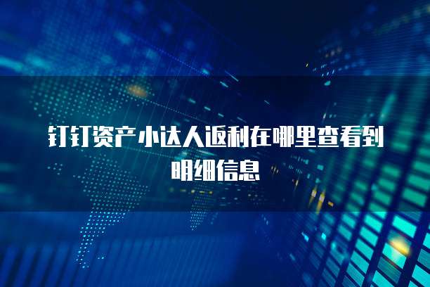 钉钉资产小达人返利在哪里查看到明细信息