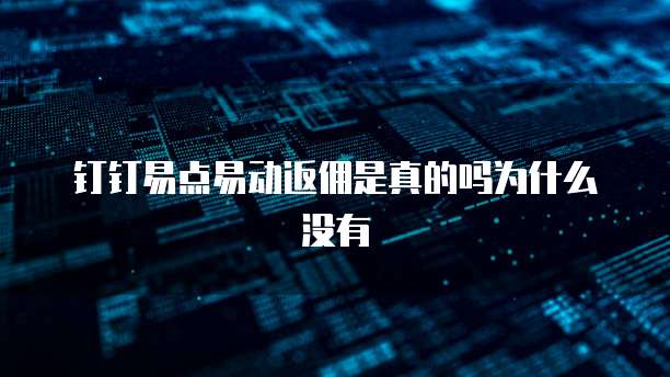 钉钉易点易动返佣是真的吗为什么没有