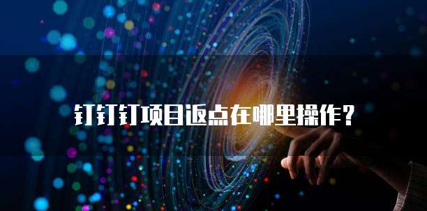 钉钉钉项目返点在哪里操作?