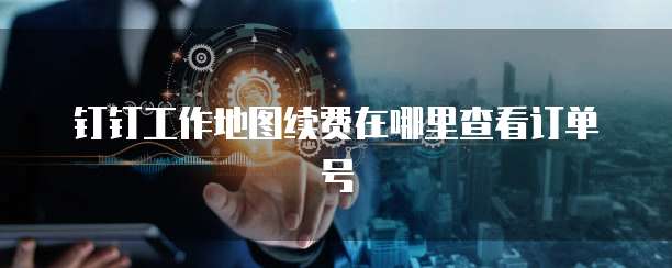 钉钉工作地图续费在哪里查看订单号