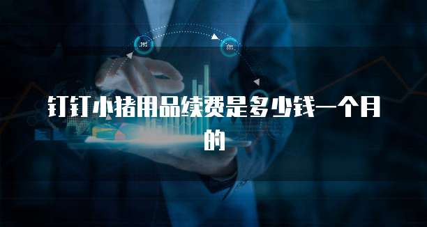 钉钉小猪用品续费是多少钱一个月的