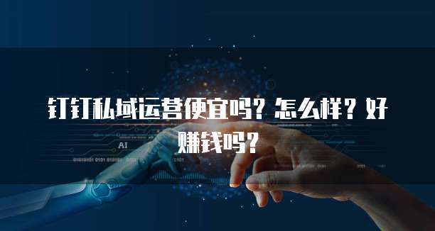 钉钉私域运营便宜吗？怎么样？好赚钱吗？