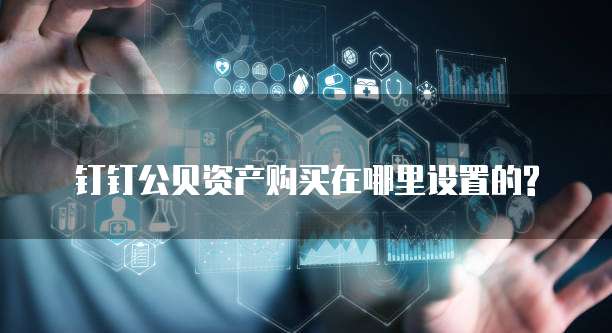 钉钉公贝资产购买在哪里设置的?