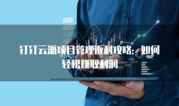 钉钉云派项目管理返利攻略:如何轻松赚取利润