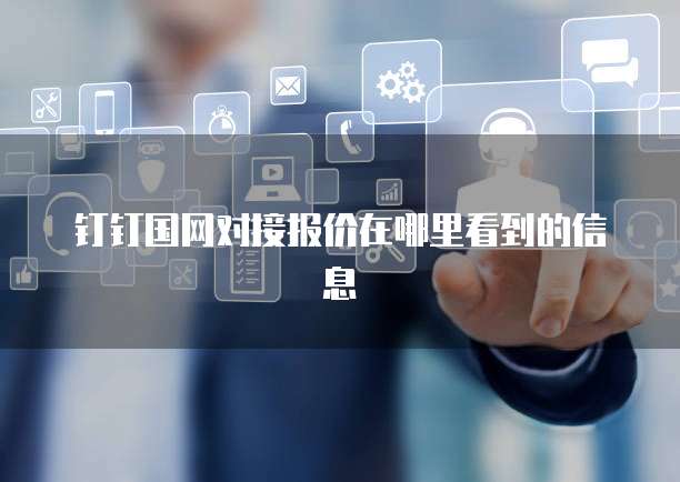 钉钉国网对接报价在哪里看到的信息
