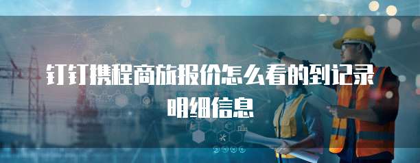 钉钉携程商旅报价怎么看的到记录明细信息