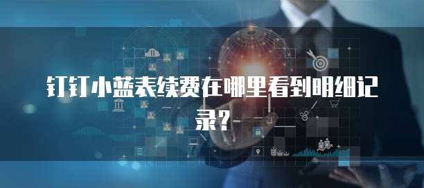钉钉小蓝表续费在哪里看到明细记录？