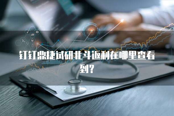 钉钉鼎捷试研北斗返利在哪里查看到？