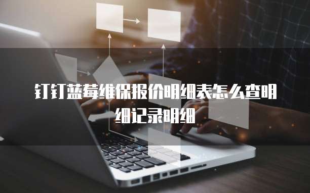 钉钉蓝莓维保报价明细表怎么查明细记录明细