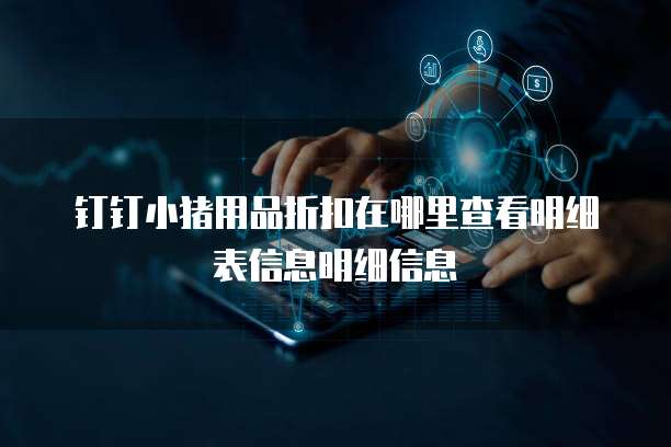 钉钉小猪用品折扣在哪里查看明细表信息明细信息