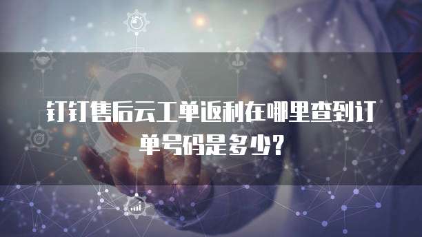 钉钉售后云工单返利在哪里查到订单号码是多少?