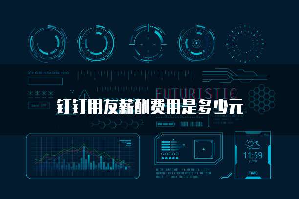 钉钉用友薪酬费用是多少元