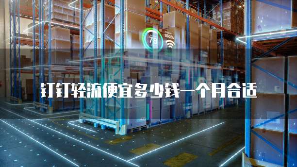 钉钉轻流便宜多少钱一个月合适