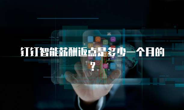 钉钉智能薪酬返点是多少一个月的？