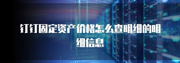 钉钉固定资产价格怎么查明细的明细信息