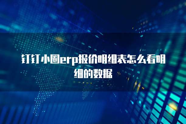 钉钉小圈ERP报价明细表怎么看明细的数据