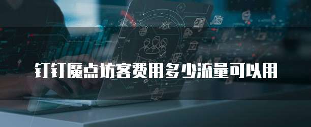 钉钉魔点访客费用多少流量可以用