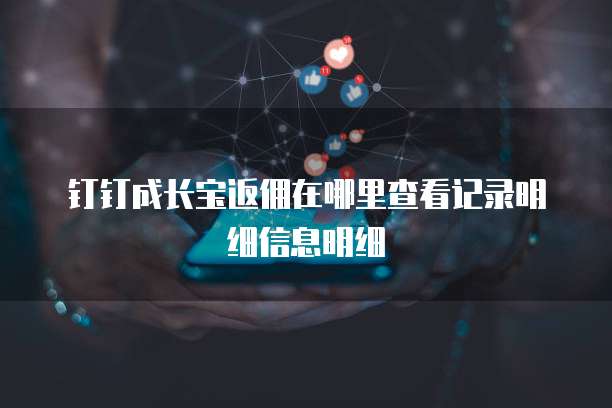钉钉成长宝返佣在哪里查看记录明细信息明细