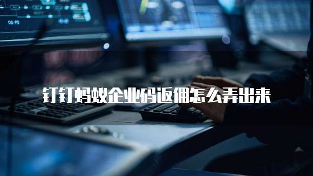 钉钉蚂蚁企业码返佣怎么弄出来