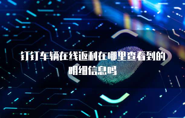 钉钉车辆在线返利在哪里查看到的明细信息吗