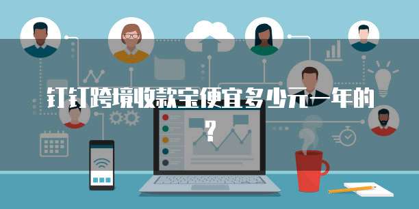 钉钉跨境收款宝便宜多少元一年的?