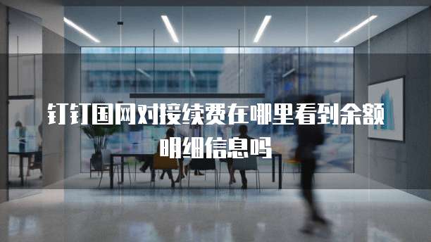 钉钉国网对接续费在哪里看到余额明细信息吗