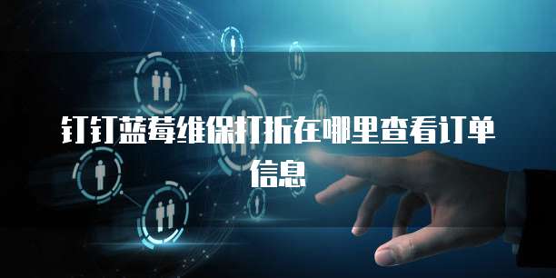 钉钉蓝莓维保打折在哪里查看订单信息