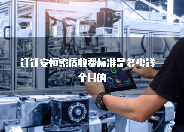 钉钉安恒密盾收费标准是多少钱一个月的
