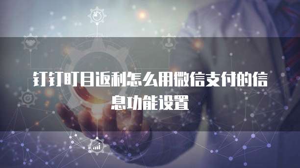 钉钉盯目返利怎么用微信支付的信息功能设置