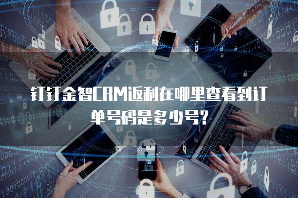 钉钉金智CRM返利在哪里查看到订单号码是多少号?