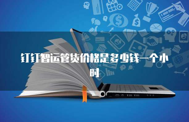 钉钉智运管货价格是多少钱一个小时