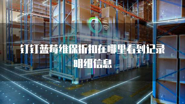 钉钉蓝莓维保折扣在哪里看到记录明细信息