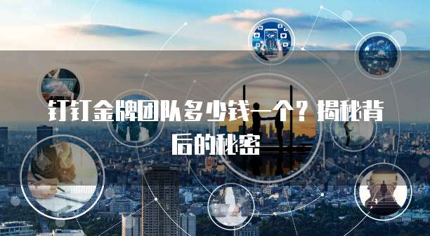 钉钉金牌团队多少钱一个?揭秘背后的秘密