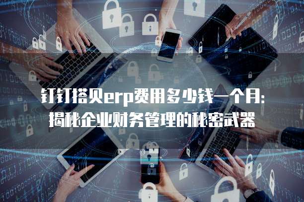 钉钉搭贝erp费用多少钱一个月:揭秘企业财务管理的秘密武器