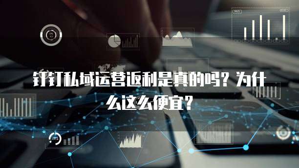 钉钉私域运营返利是真的吗?为什么这么便宜?