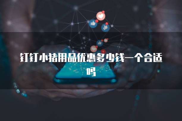 钉钉小猪用品优惠多少钱一个合适吗