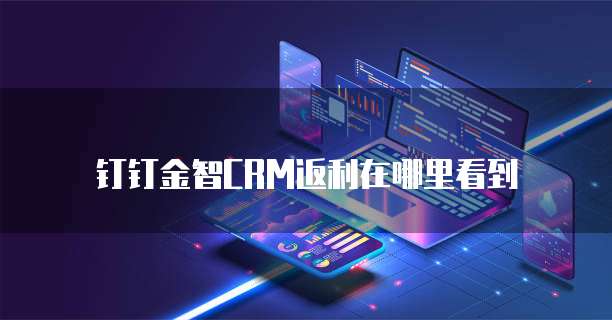 钉钉金智CRM返利在哪里看到