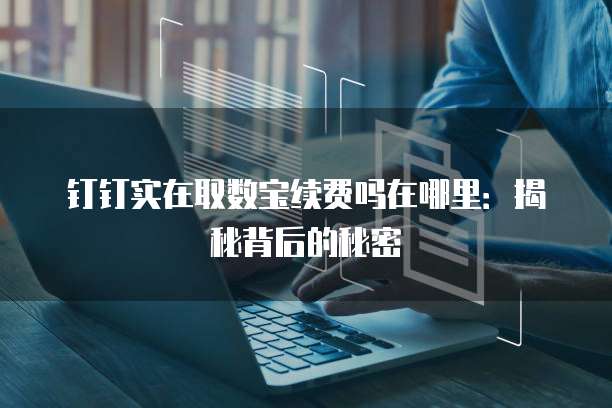 钉钉实在取数宝续费吗在哪里：揭秘背后的秘密