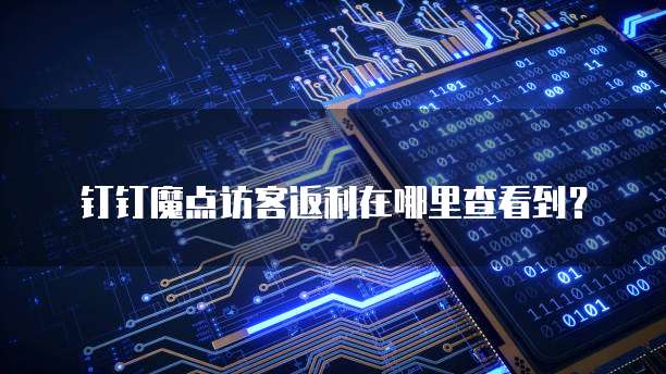 钉钉魔点访客返利在哪里查看到？