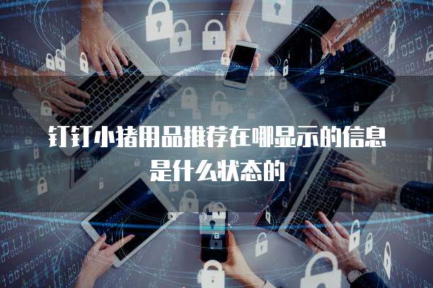 钉钉小猪用品推荐在哪显示的信息是什么状态的
