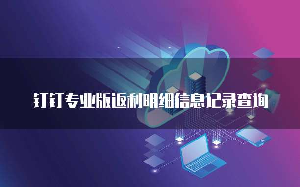 钉钉专业版返利明细信息记录查询