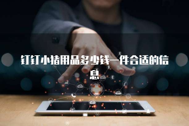 钉钉小猪用品多少钱一件合适的信息