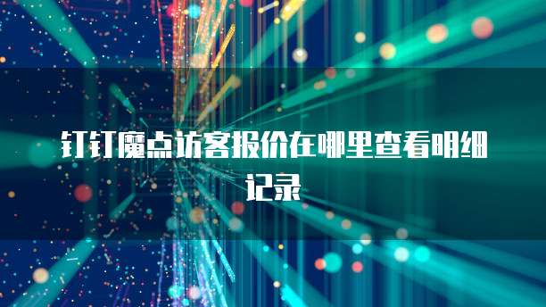 钉钉魔点访客报价在哪里查看明细记录