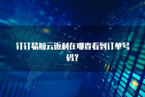 钉钉易鲸云返利在哪查看到订单号码？