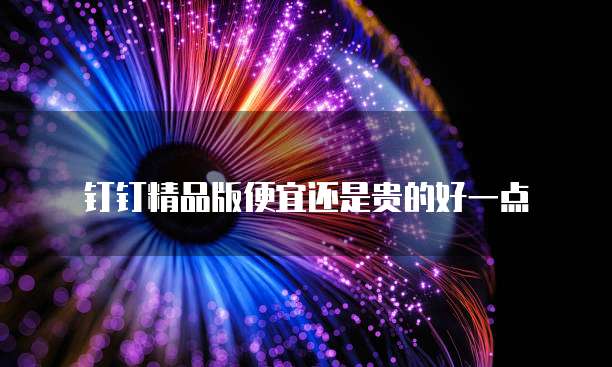 钉钉精品版便宜还是贵的好一点