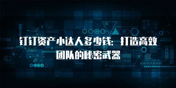 钉钉资产小达人多少钱:打造高效团队的秘密武器