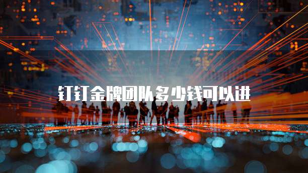 钉钉金牌团队多少钱可以进